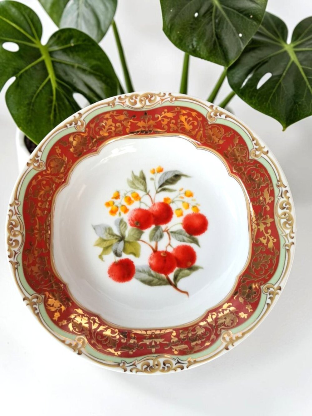 Andrea by Sadek - Honore Ligonberry Soup Bowl - Winterthur Paris Design 8.25"